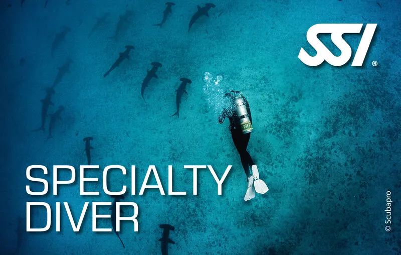 Specialty Diver - Spezialkurse wie Nachttauchen und Tieftauchen